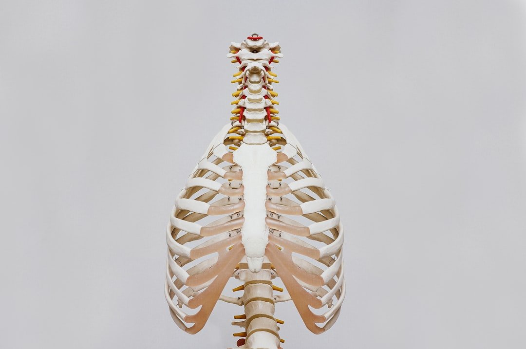 Read more about the article Back Pain and Aging: What’s Normal and What’s Not?