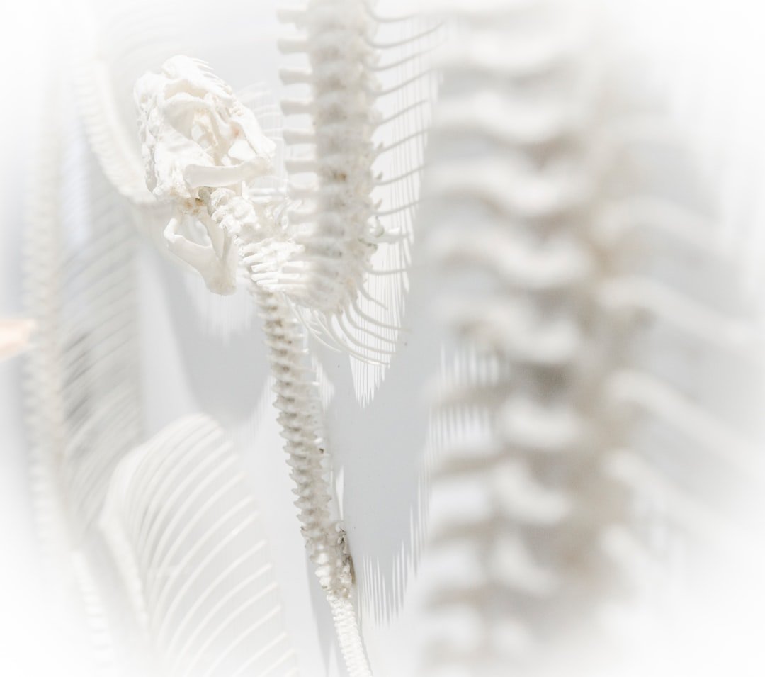 Read more about the article Advanced Techniques in Spine Surgery