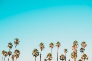 Read more about the article Pinched Nerve Symptoms: What Patients Often Miss