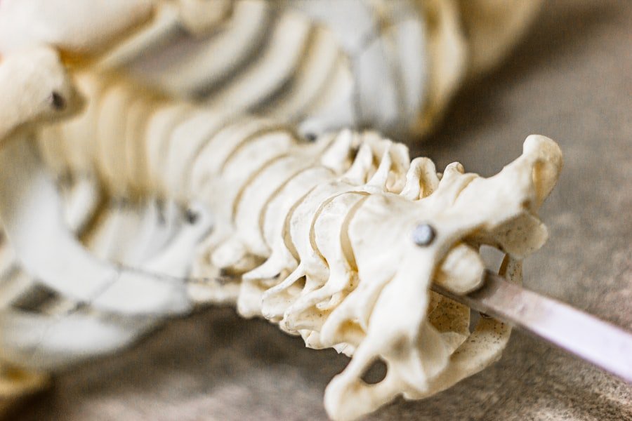 Spine Specialist
