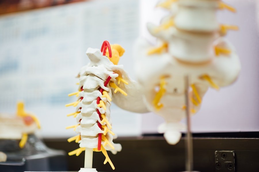 Spine Surgeon