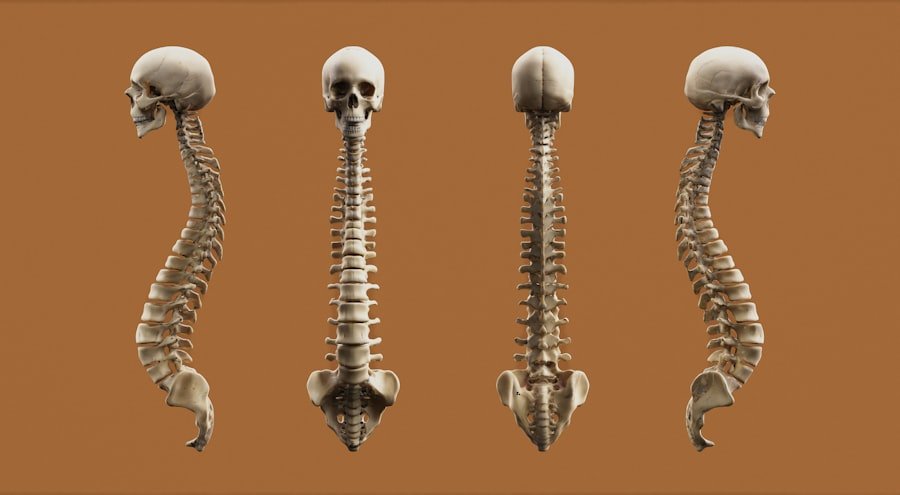 Photo Spine Surgeon